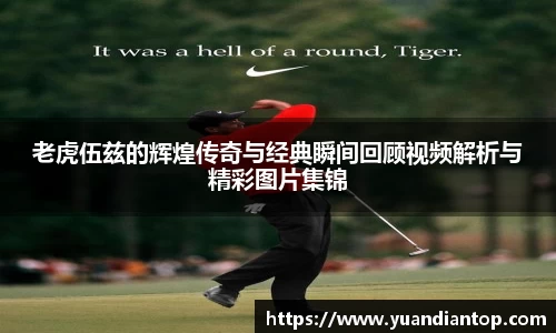 江南体育官方平台