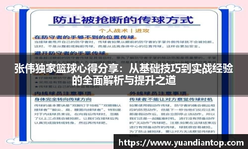 张伟独家篮球心得分享：从基础技巧到实战经验的全面解析与提升之道