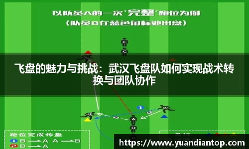 飞盘的魅力与挑战：武汉飞盘队如何实现战术转换与团队协作