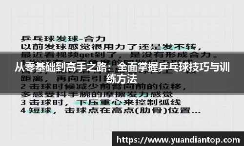 从零基础到高手之路：全面掌握乒乓球技巧与训练方法