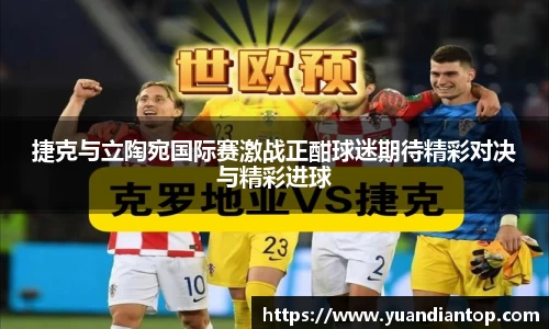 捷克与立陶宛国际赛激战正酣球迷期待精彩对决与精彩进球